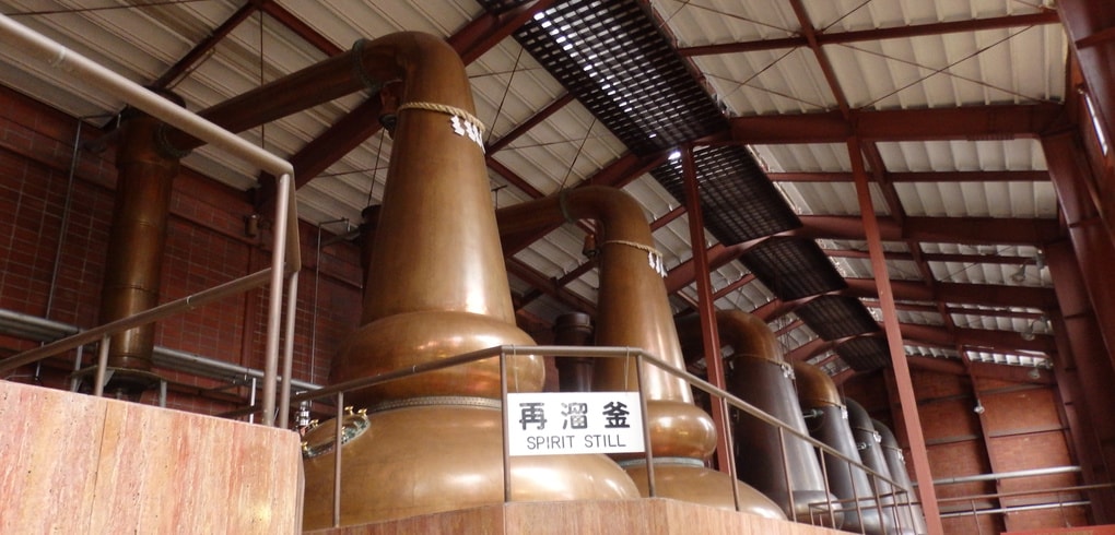 pb110016.jpg