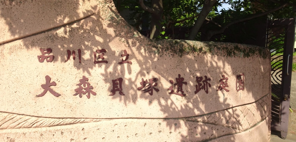 dsc00357.jpg