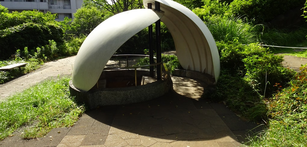 dsc00370.jpg